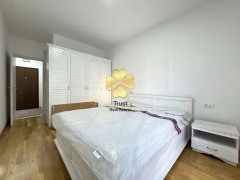 Izdavanje, jednosoban stan, 55m², Ljubović, Podgorica - image 10