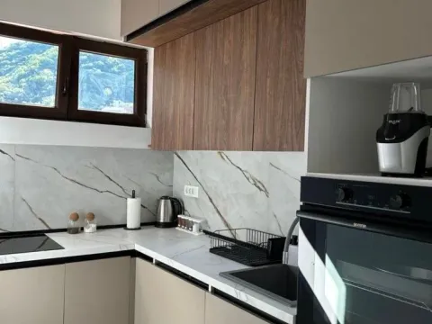 Rent, two bedroom apartment, 70m², Seljanovo, Tivat - image 5