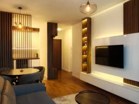 Izdavanje, jednosoban stan, 45m², Stari Aerodrom, Podgorica - image 3