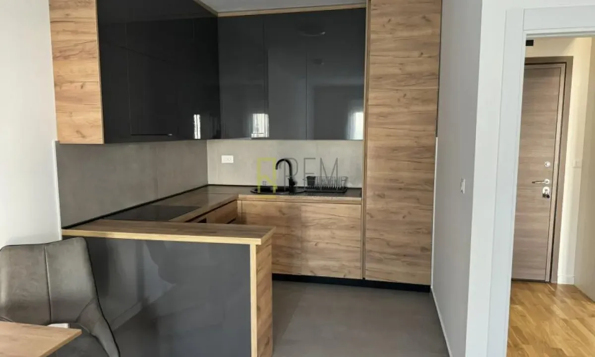 Izdavanje, jednosoban stan, 47m², Zabjelo, Podgorica