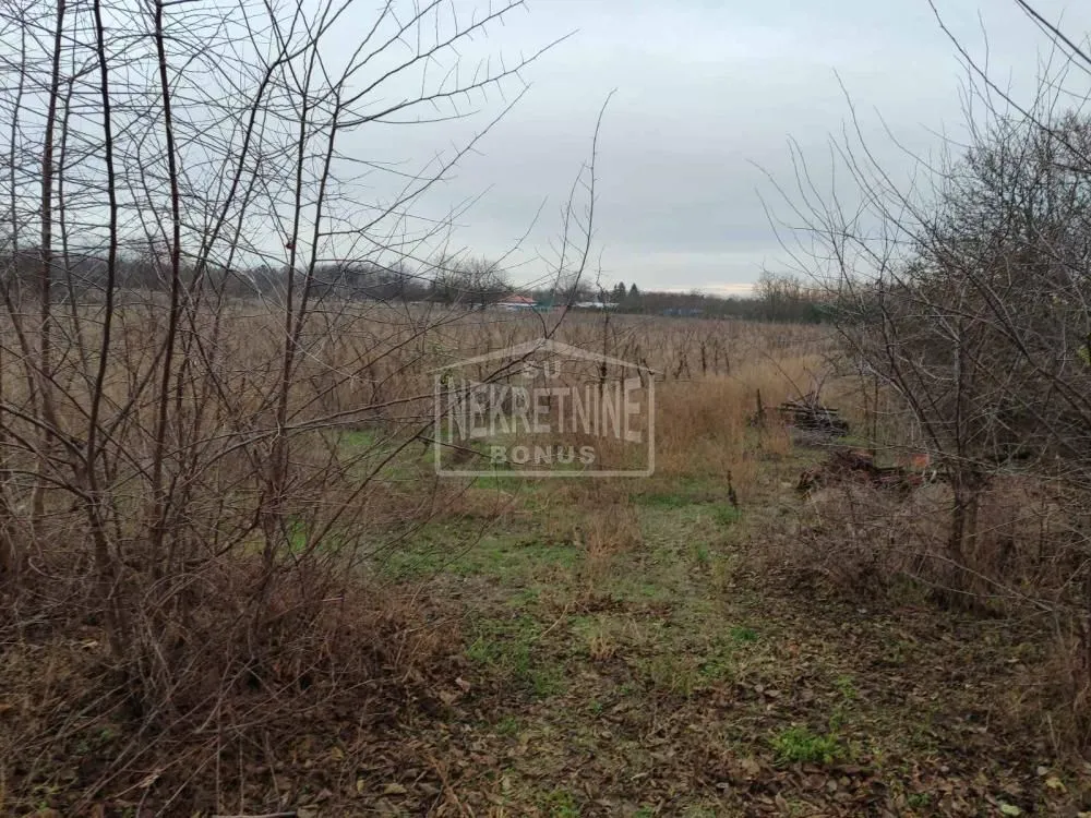 Prodaja, plac, 20900m², Srpski Šor, Subotica
