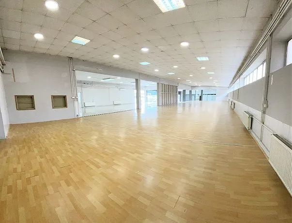 Izdavanje, poslovni prostor, 850m², Zemun Sve Podlokacije, Beograd