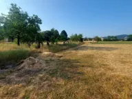 Sale, land lot, 1800m², Kličevo, Nikšić - image 2