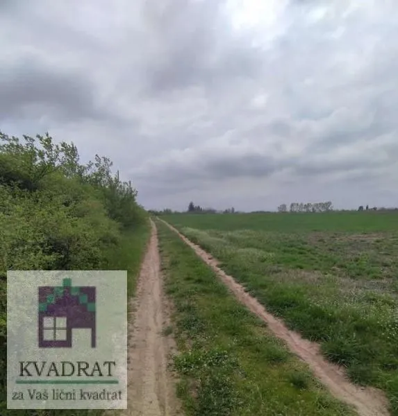 Prodaja, plac, 7000m², Mislodjin, Obrenovac