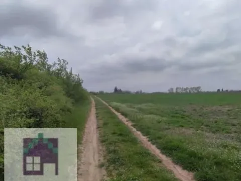 Sale, land lot, 7000m², Mislodjin, Obrenovac - image 4