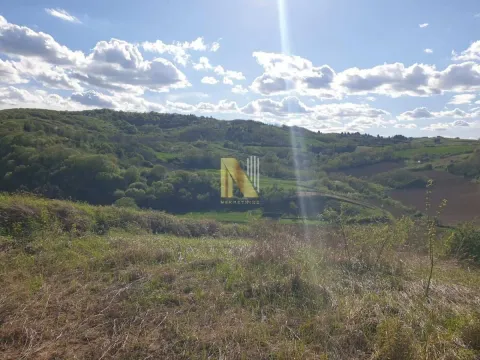 Prodaja, plac, 2500m², Novi Sad, Srbija - image 9