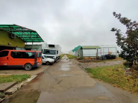 Prodaja, plac, 520m², Vrbas, Novi Sad - image 15