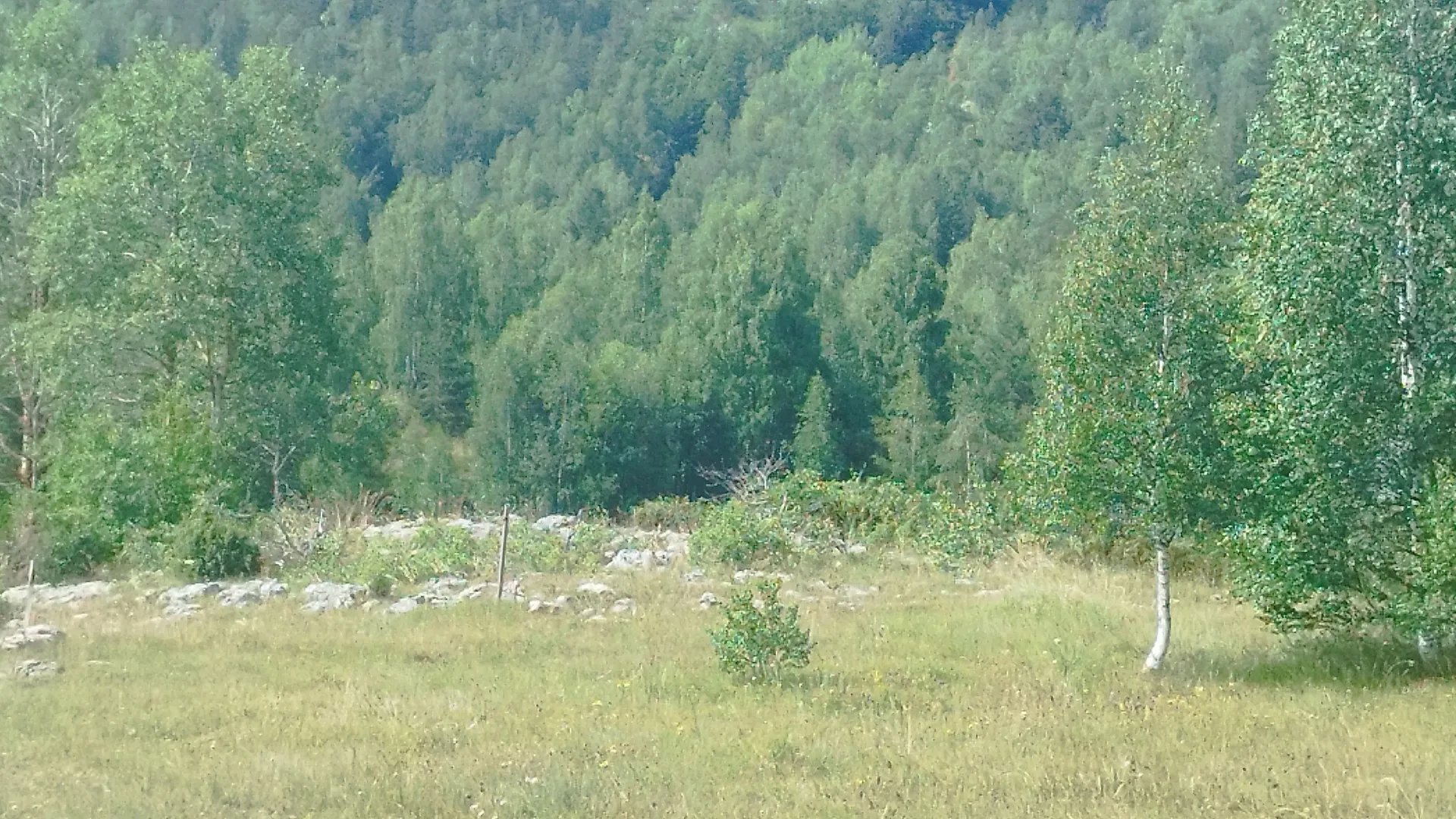 Sale, land lot, 596m², Tepačko polje, Žabljak