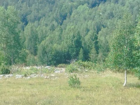 Sale, land lot, 596m², Tepačko polje, Žabljak - image 8