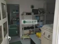 Prodaja, kuća, 391m², Centar, Kragujevac - image 6