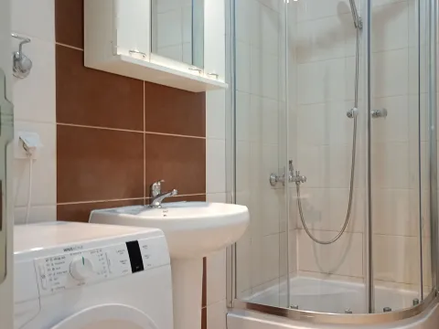 Izdavanje, dvosoban stan, 38m², Palilula Sve Podlokacije, Beograd - image 13