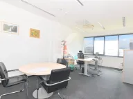 Izdavanje, poslovni prostor, 318m², Preko Morače, Podgorica - image 5