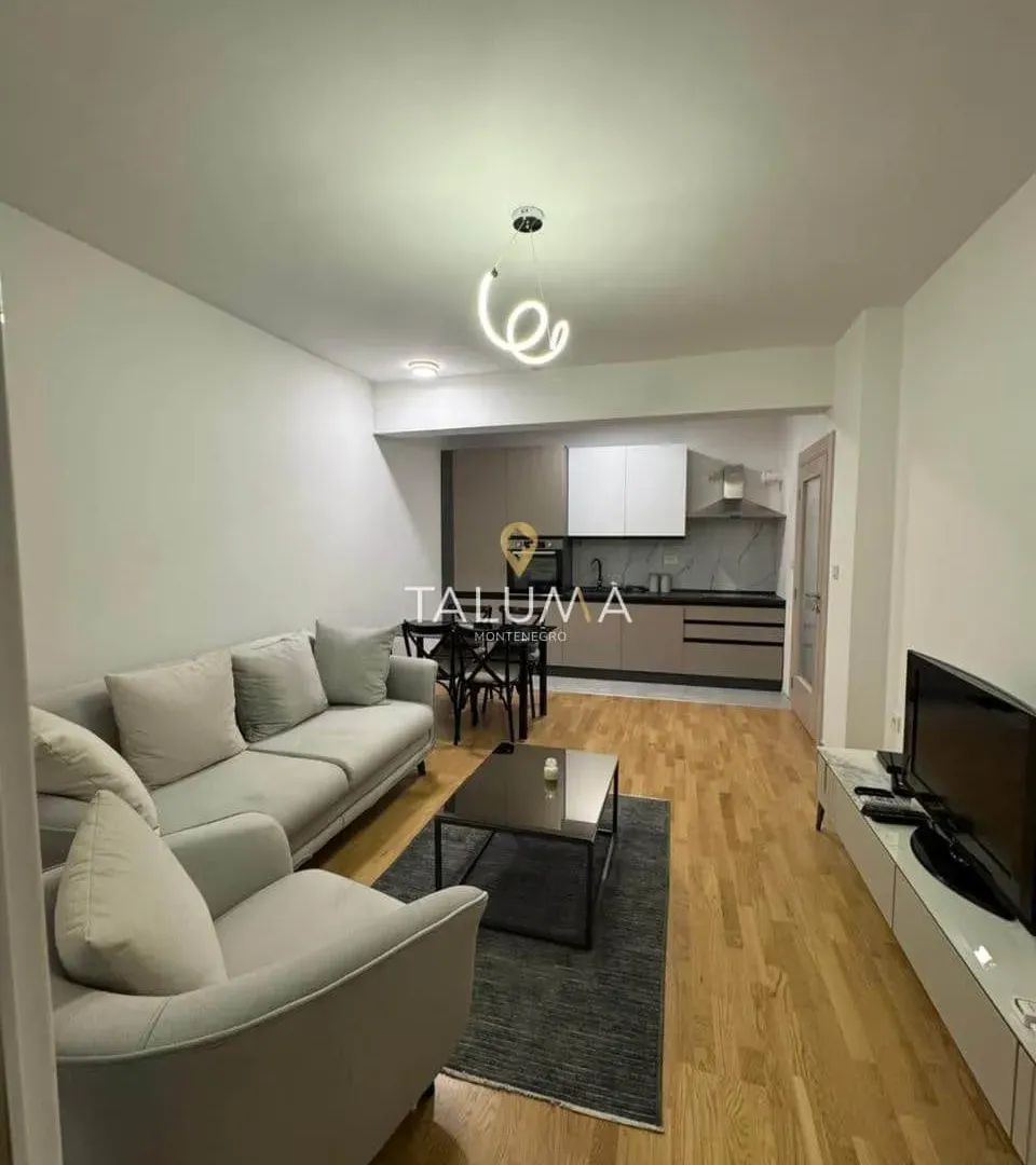 Rent, one bedroom apartment, 49m², Stara Varoš, Podgorica