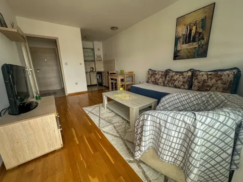 Izdavanje, jednosoban stan, 43m², Stari Aerodrom, Podgorica - image 5