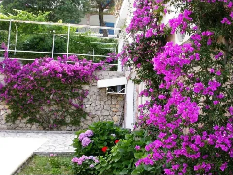 Prodaja, kuća, 432m², Tivat, Crna Gora - image 9