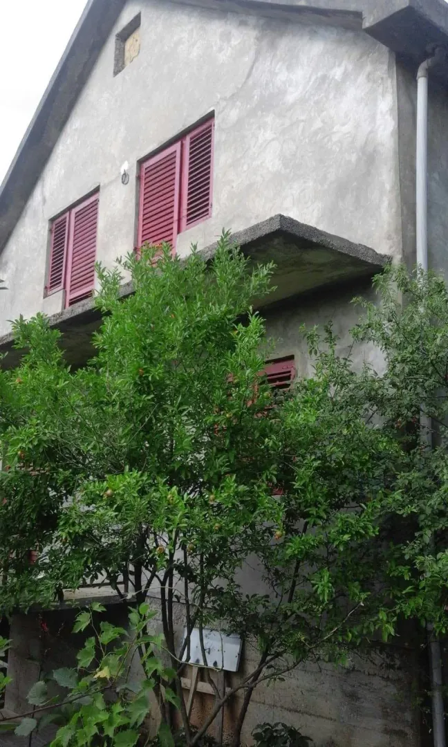 Pogled na spoljašnjost kuće sa zelenilom u dvorištu.