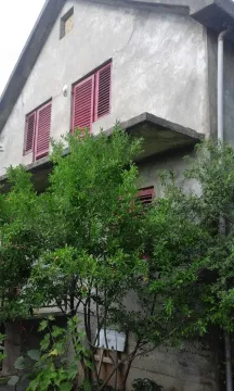 Pogled na spoljašnjost kuće sa zelenilom u dvorištu. - image 5