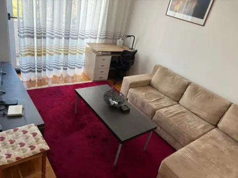 Izdavanje, jednosoban stan, 39m², Centar, Podgorica - image 5