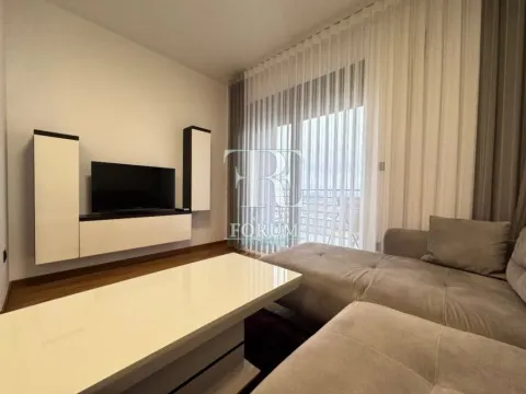 Izdavanje, jednosoban stan, 50m², Gorica C, Podgorica - image 4