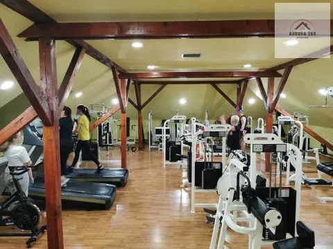 Prodaja, kuća, 1103m², Apatin, Srbija - image 4