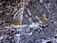 Sale, apartment, 52m², Danilovgrad, Crna Gora - image 6