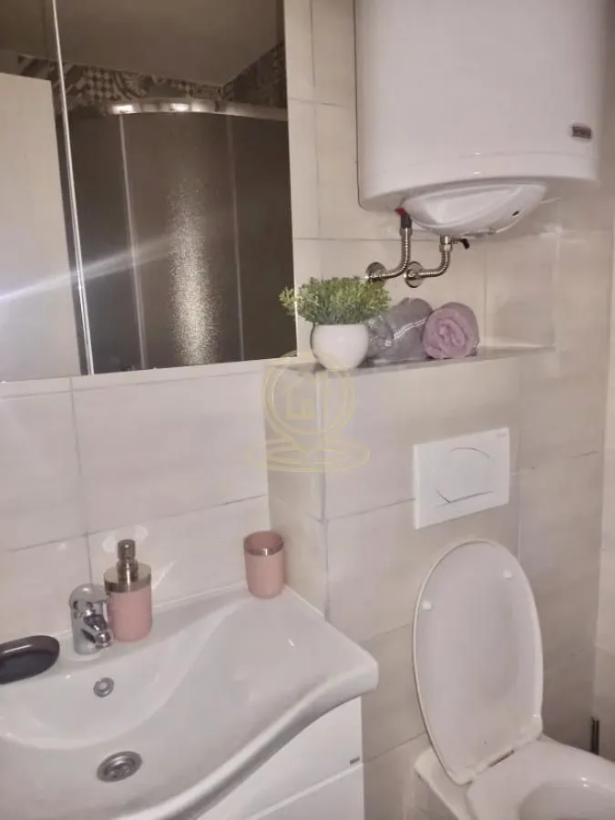 Rent, one bedroom apartment, 45m², Pantelej, Niš