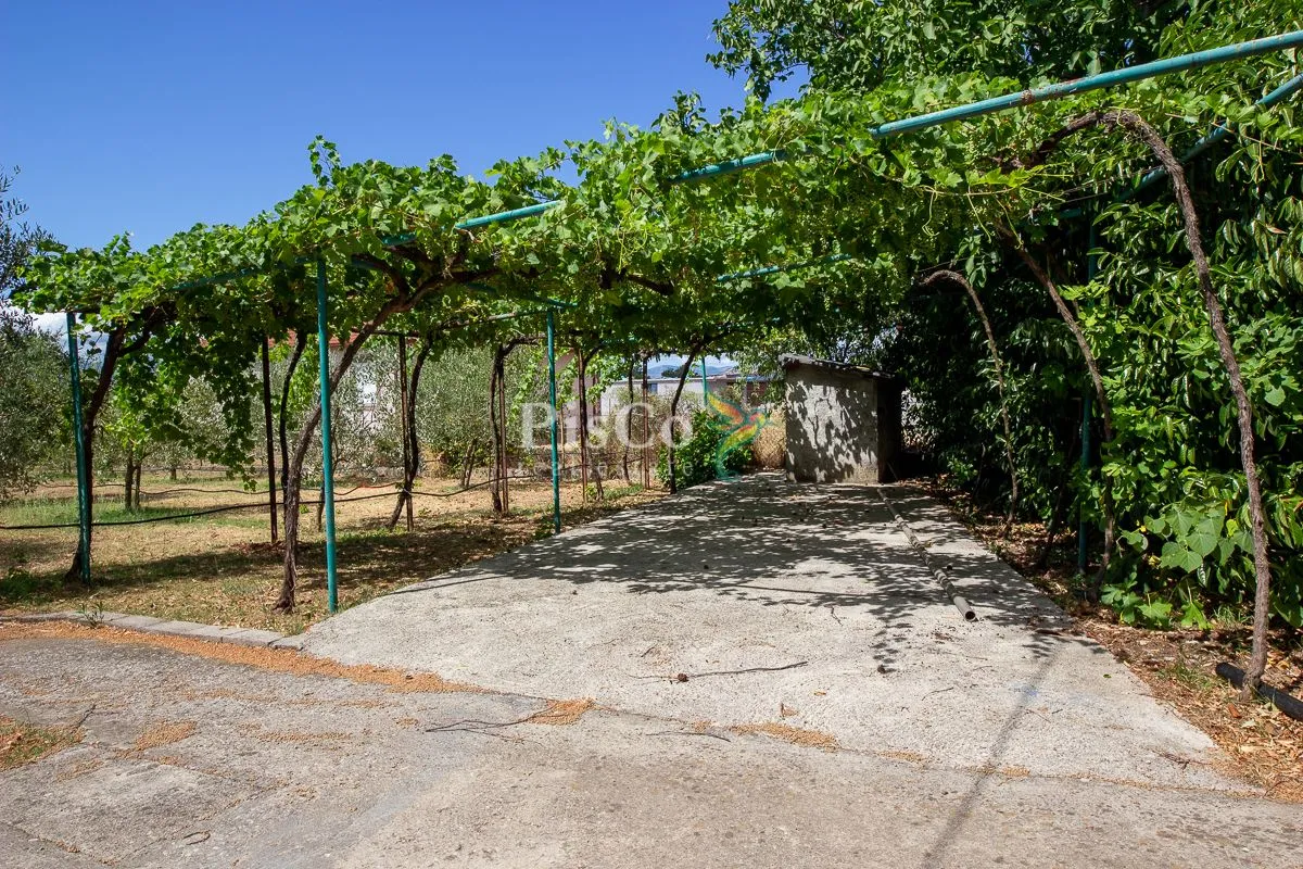 Rent, house, 100m², Zeta, Podgorica