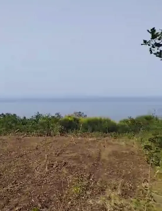 Sale, land lot, 1227m², Dobra Voda, Budva