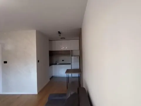 Izdavanje, dvosoban stan, 47m², Bulevar patrijarha Pavla, Novi Sad Sve Podlokacije - image 4