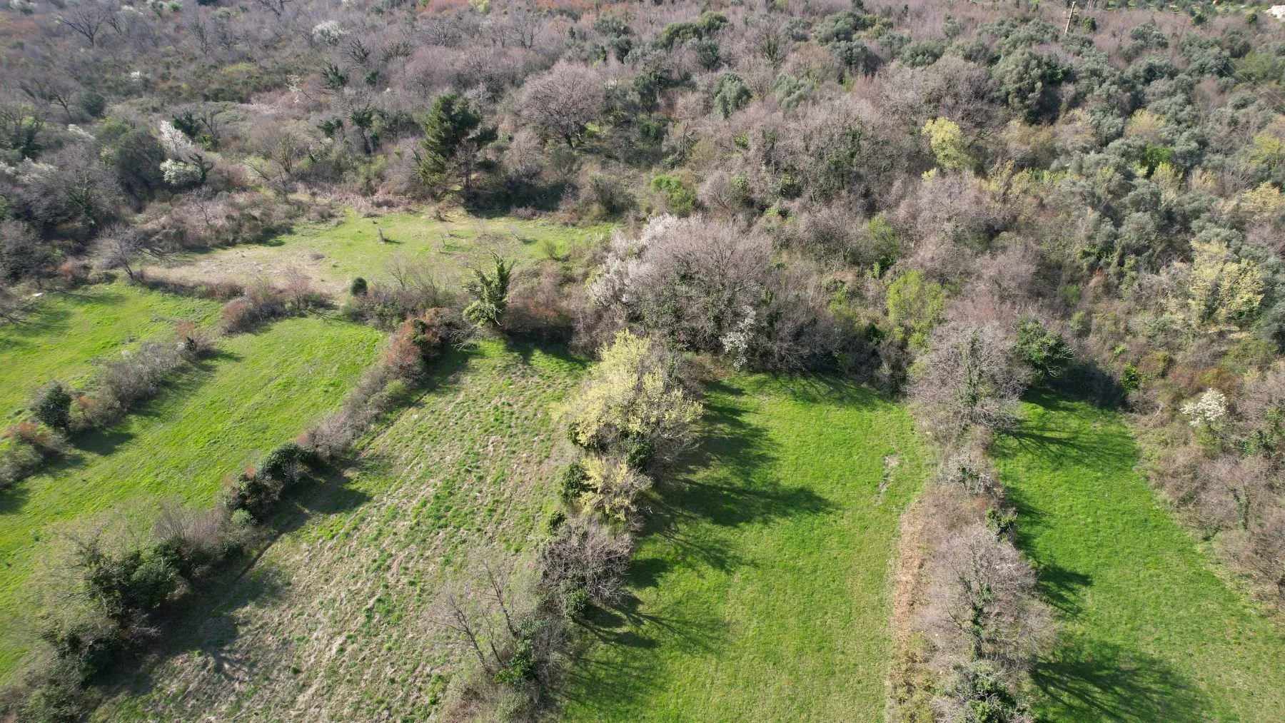 Prodaja, plac, 7665m², Buljarica, Budva