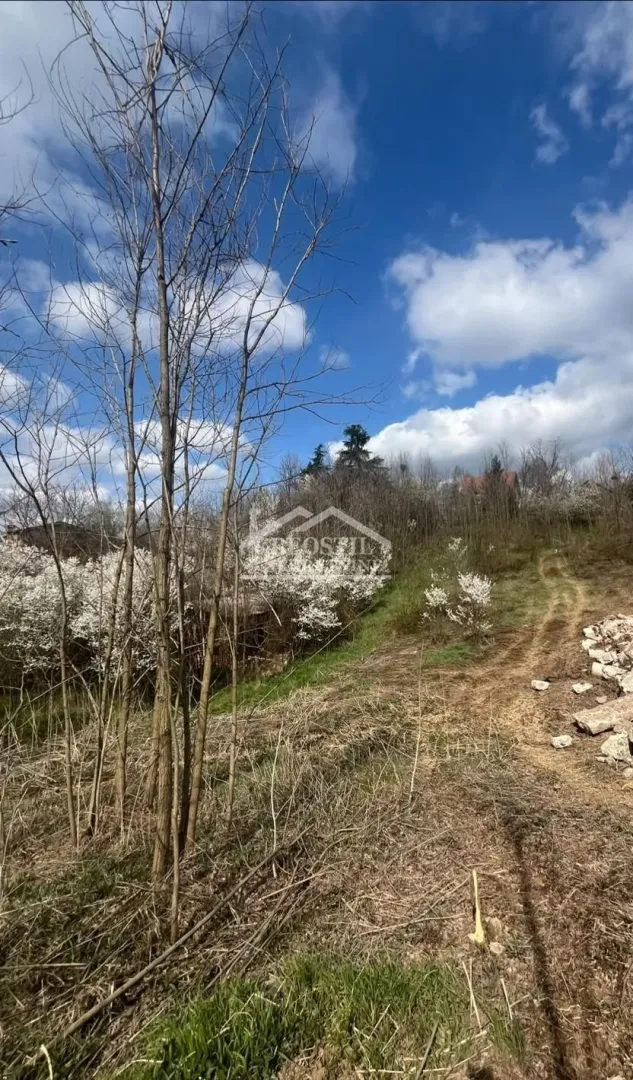 Pogled na zemljište sa drvećem i rastinjem.