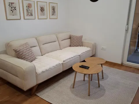Rent, one bedroom apartment, 47m², Pobrežje, Podgorica - image 7