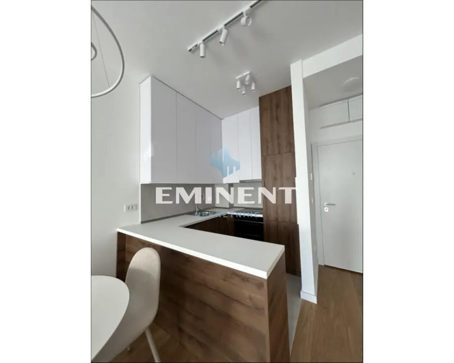 Izdavanje, dvosoban stan, 44m², Novi Beograd Blok 67, Novi Beograd Sve Podlokacije