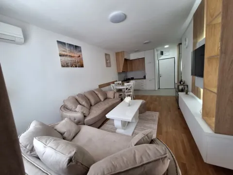 Izdavanje, jednosoban stan, 48m², Stari Aerodrom, Podgorica - image 9