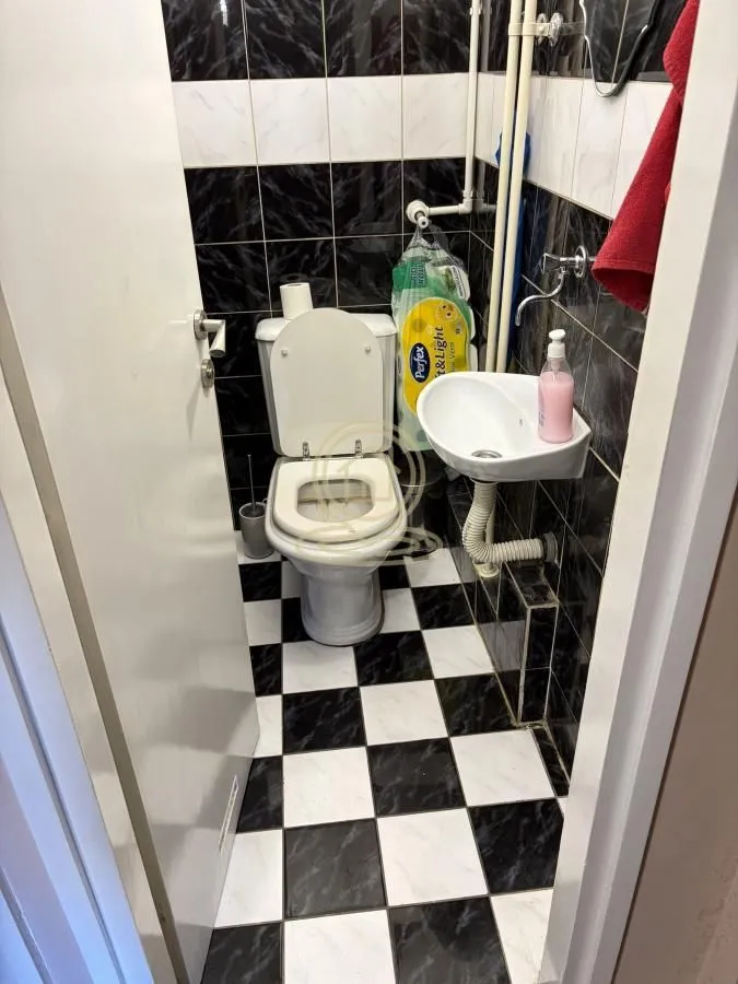 Smaller bathroom with a toilet and a sink, lined with black and white tiles.