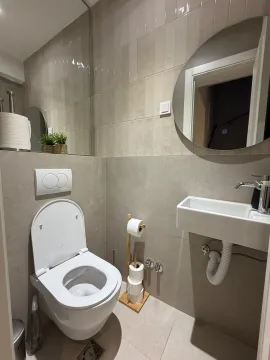 Moderne opremljeno kupatilo sa WC šoljom, umivaonikom i ogledalom. - image 18