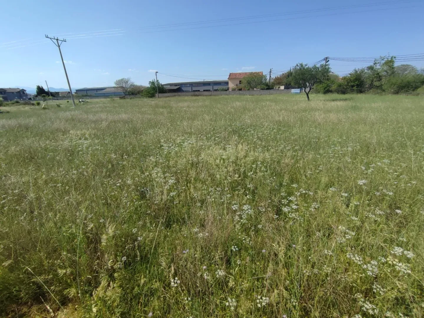Prostran zeleni plac okružen prirodom i kućama u daljini.