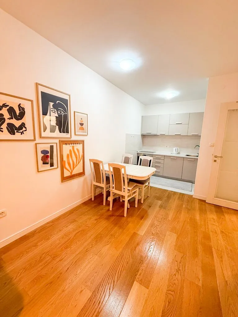 Rent, one bedroom apartment, 50m², Central Point, Podgorica