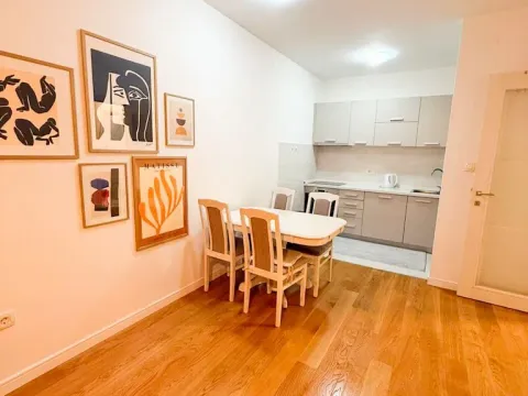 Rent, one bedroom apartment, 50m², Central Point, Podgorica - image 3