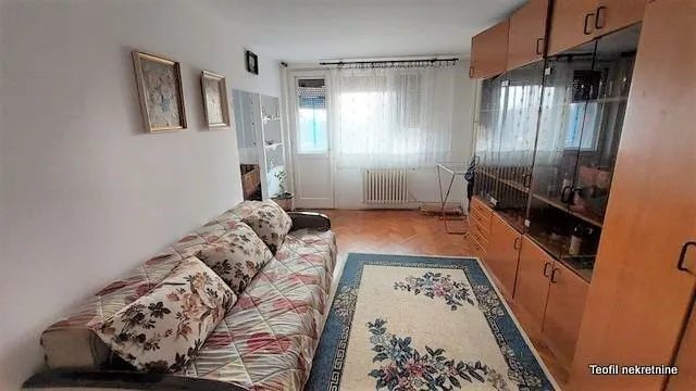 Living room with a sofa, rug, and wooden cabinets.