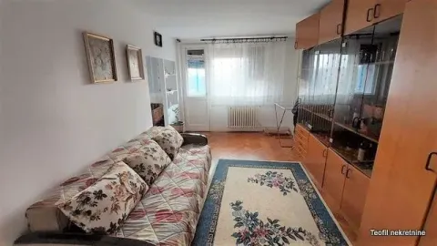 Living room with a sofa, rug, and wooden cabinets. - image 3