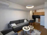 Izdavanje, jednosoban stan, 60m², Centar, Podgorica - image 3