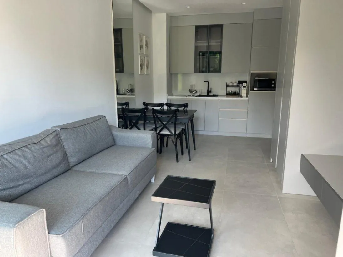One Bedroom Apartment for Short Term Rental, 45m2, Bečići, Budva