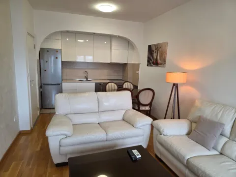 Izdavanje, jednosoban stan, 43m², Zabjelo, Podgorica - image 8