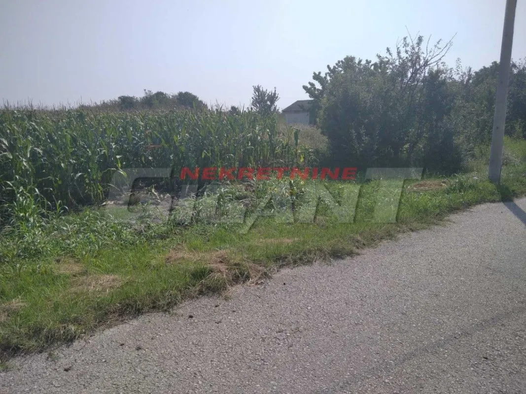 Sale, land lot, 8900m², Ovča, Palilula Sve Podlokacije