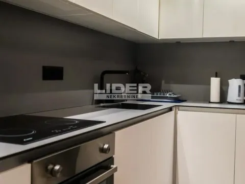 Izdavanje, dvosoban stan, 54m², Savski Venac, Beograd - image 2