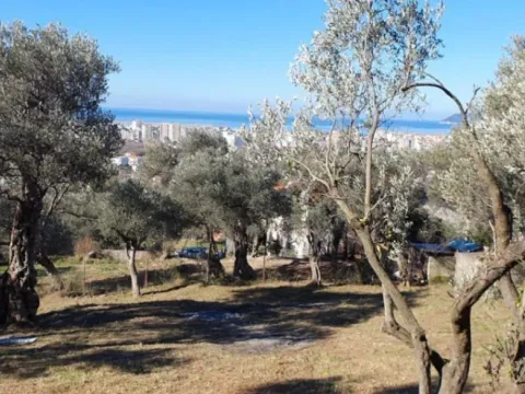 Sale, land lot, 837m², Kunje, Bar - image 6