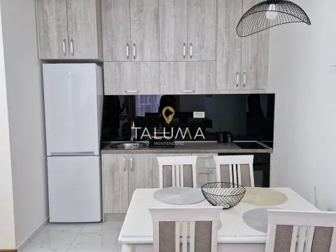 Rent, one bedroom apartment, 45m², Zabjelo, Podgorica - image 3