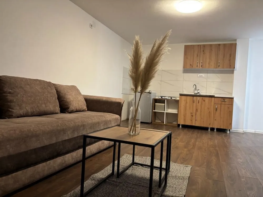 Rent, one bedroom apartment, 30m², Zvezdara Sve Podlokacije, Beograd