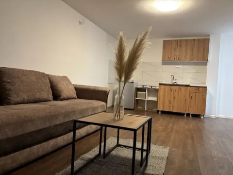 Rent, one bedroom apartment, 30m², Zvezdara Sve Podlokacije, Beograd - image 2